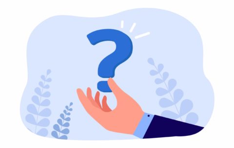 Polite questions