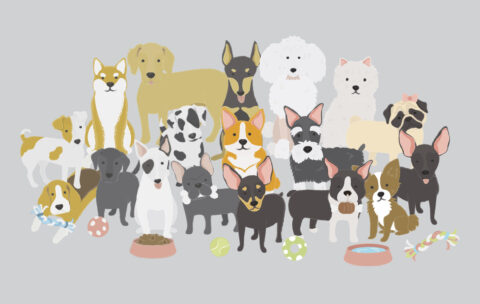 A Brief histroy of dogs
