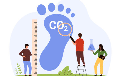 Humanity's footprint